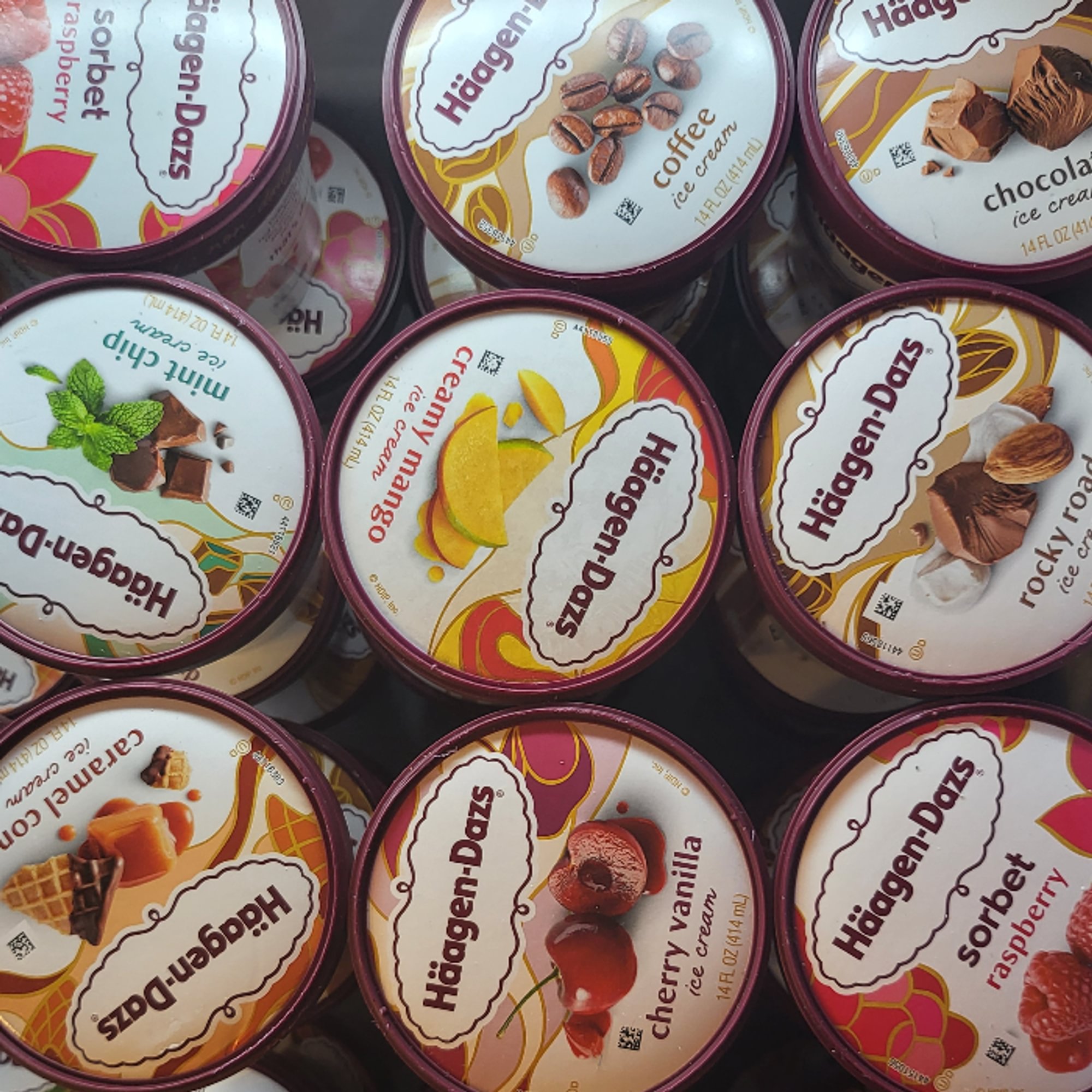 Haagen Dazs Pints