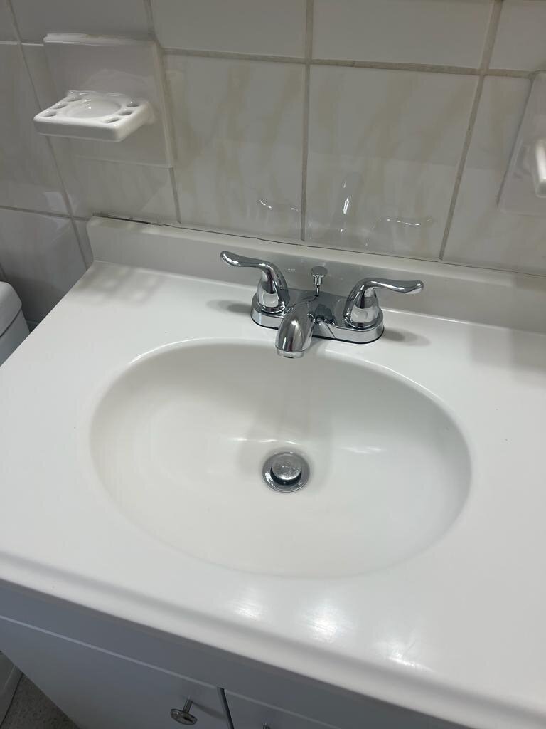 Neia's Shiny Solutions Image