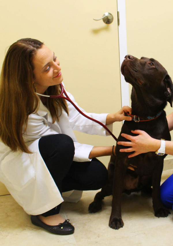 Southwest Florida Veterinary Specialists & 24-Hour Emergency Hospital Photo