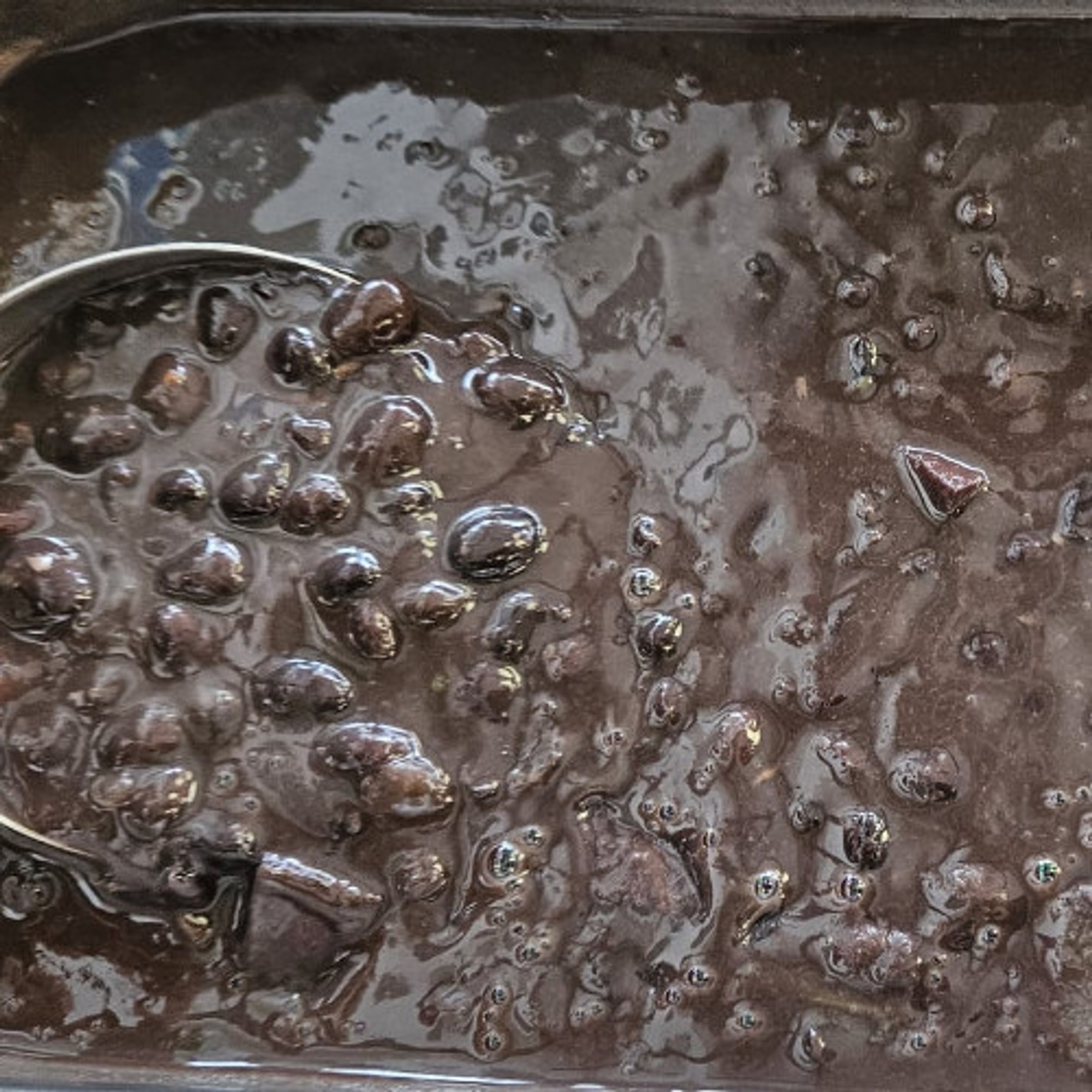 Black Beans /Frijoles Negros