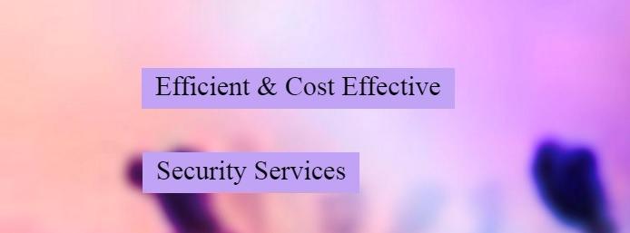 Private Security Guard Service Image