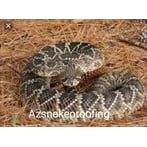 AZ Snake Proofing LLC Logo