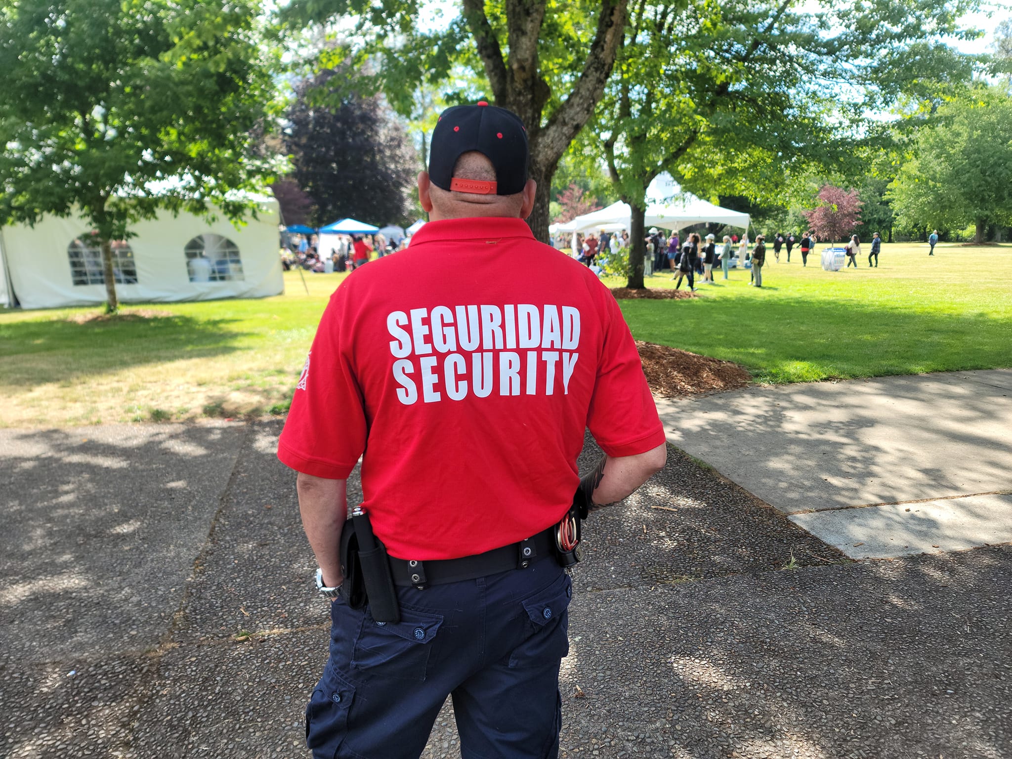 Seguridad Security Image