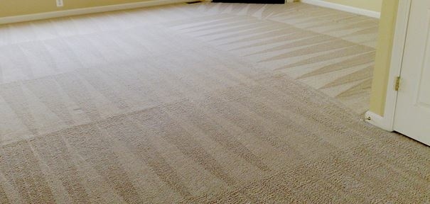 Images Archer Carpet, Tile and Grout Cleaning