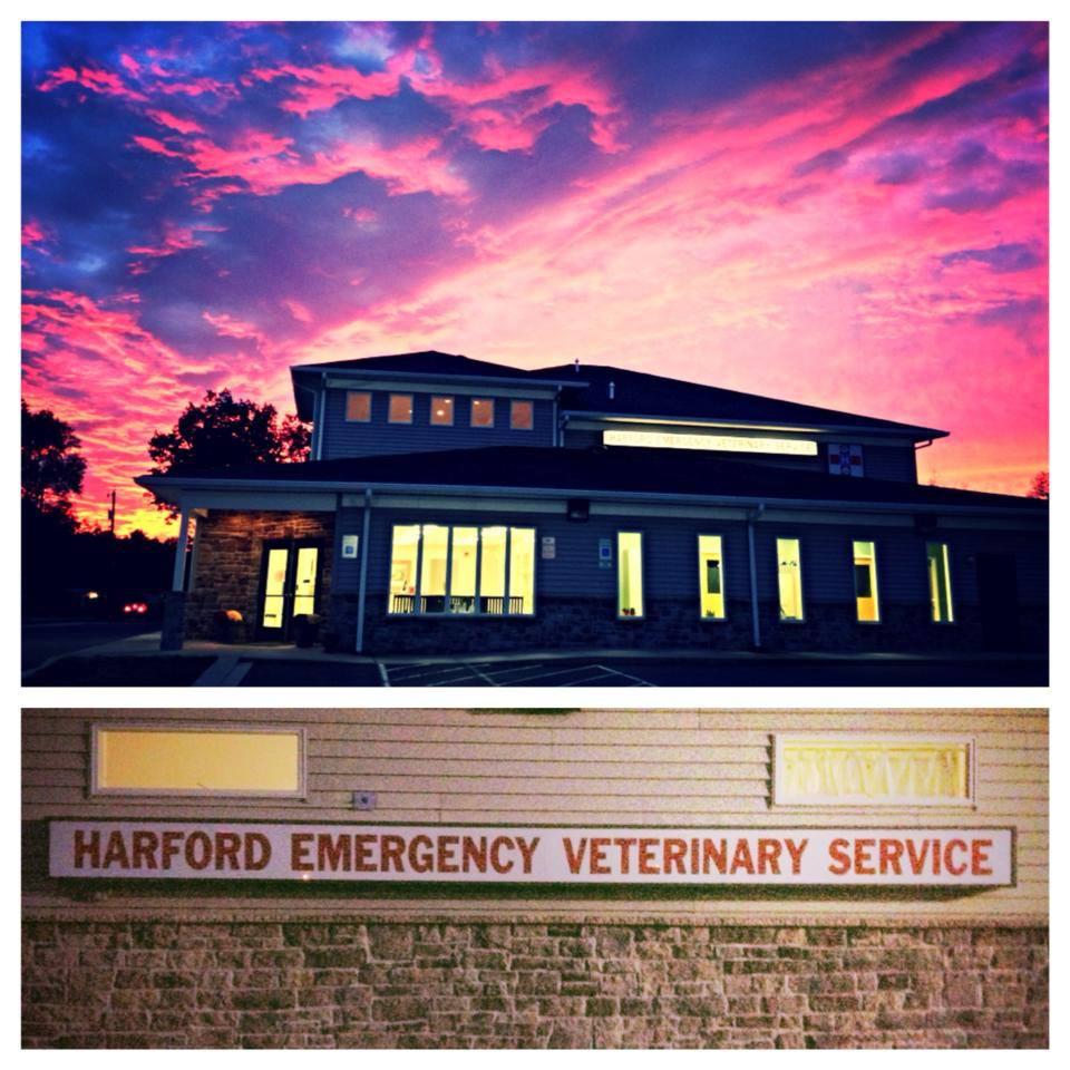 Harford Emergency & Referral Veterinary Services Photo