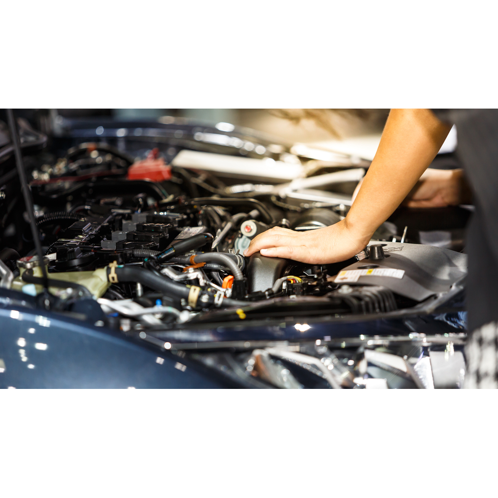Noey's Auto Repair