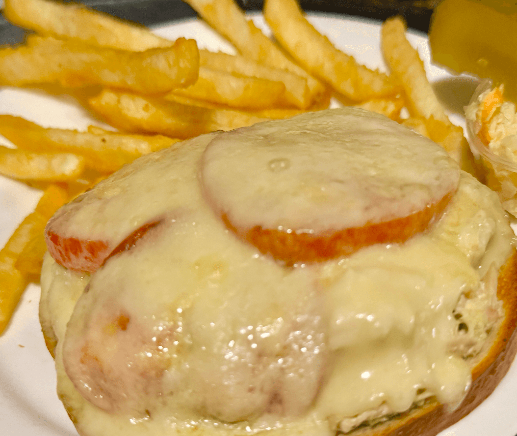 Tuna Melt Sandwich