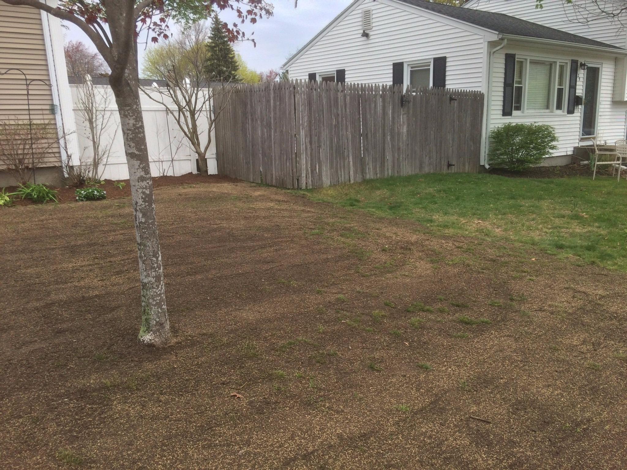 Mike's Landscaping Image