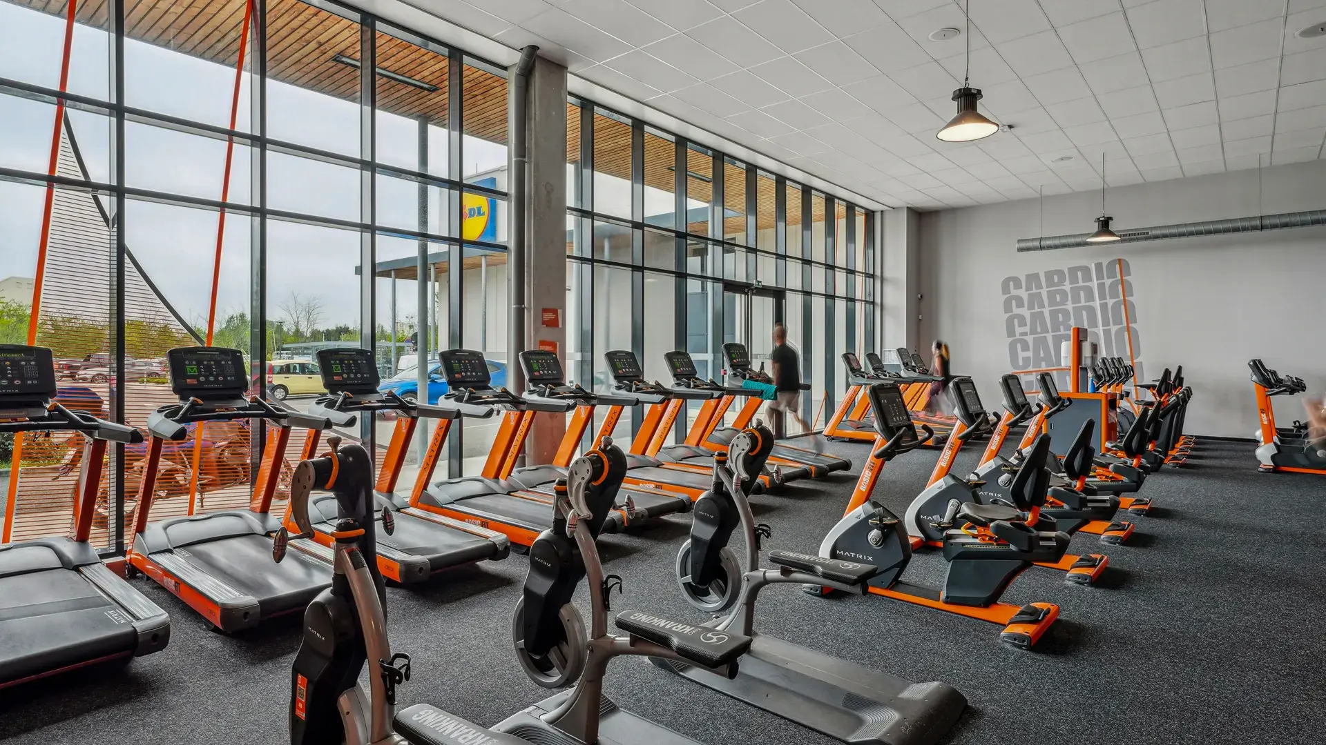 Miniature de la galerie