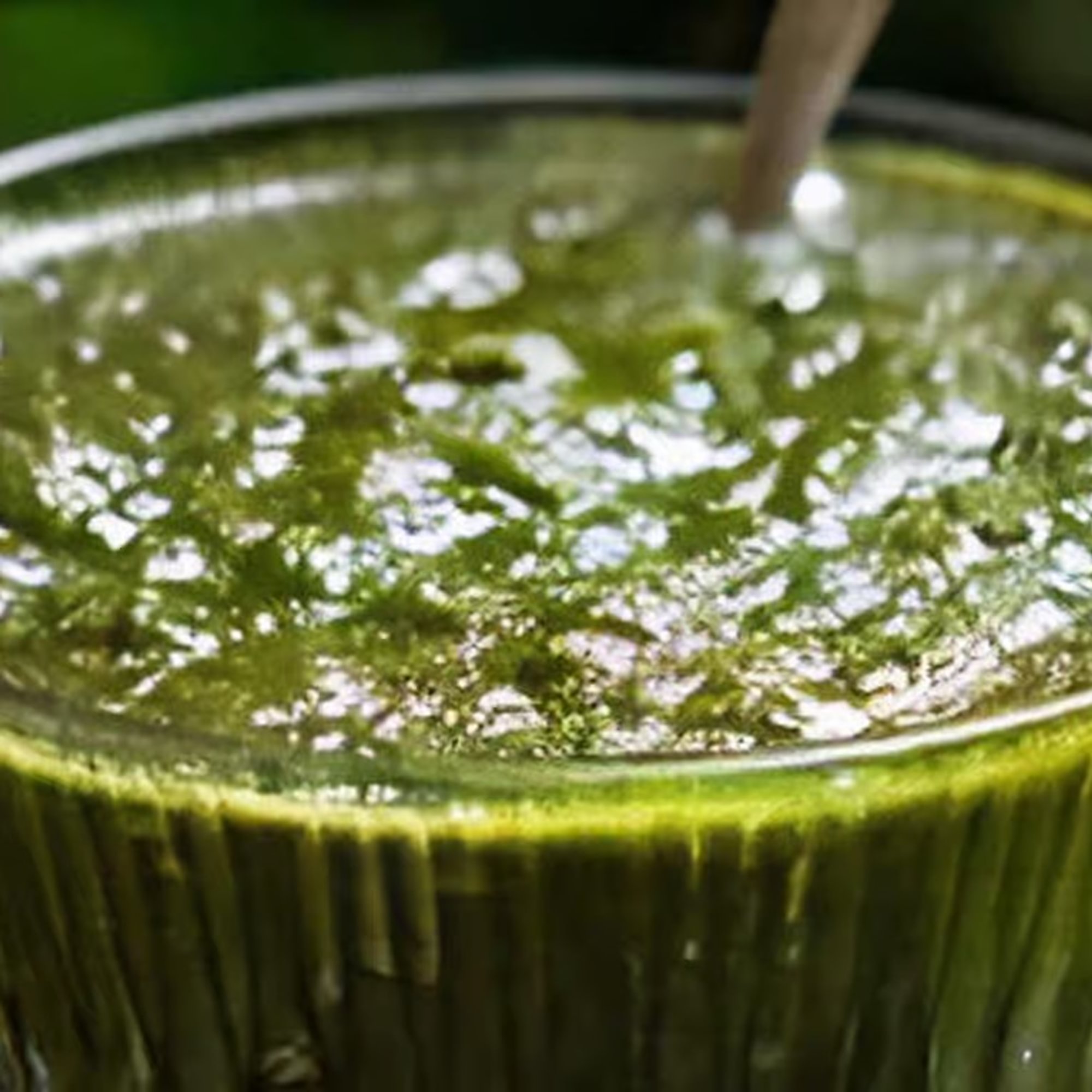Green Mint Chutney