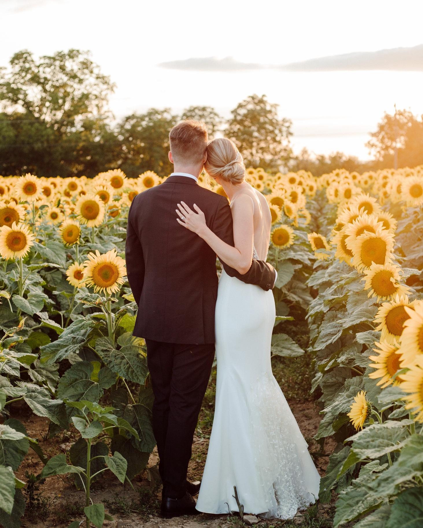 Treleaven Wines Image