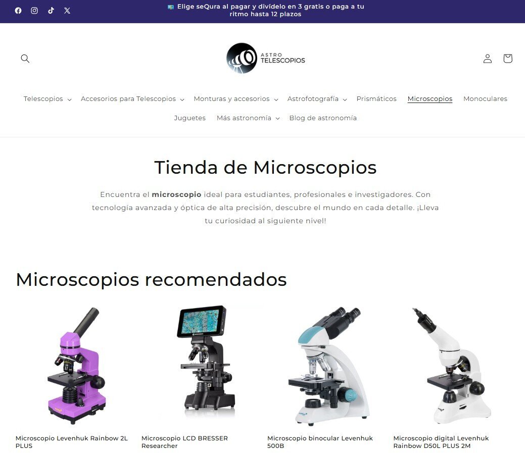 Galería en miniatura