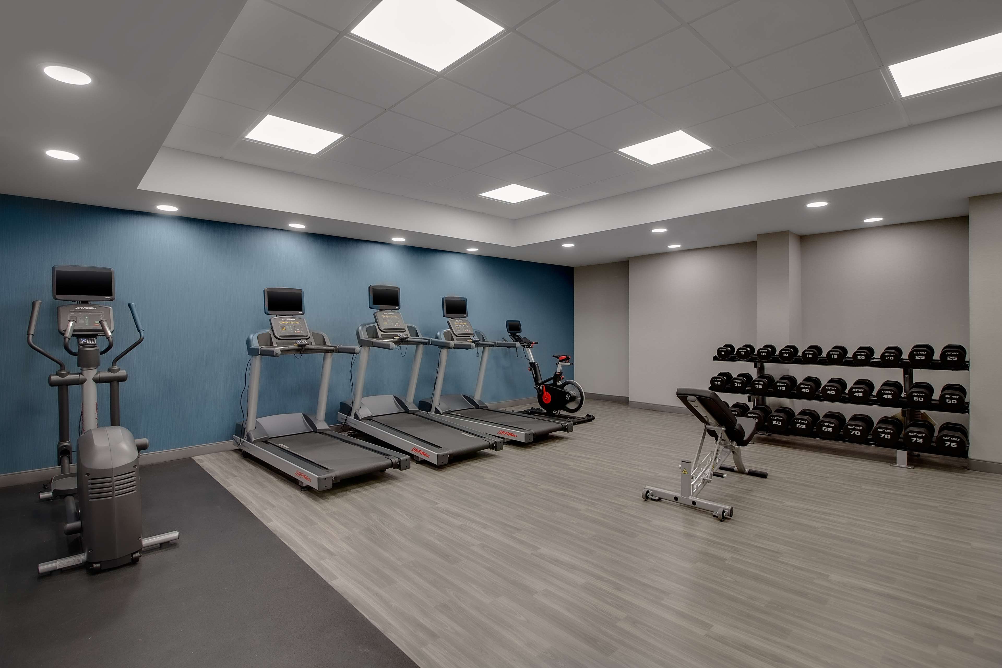 Health club  fitness center  gym