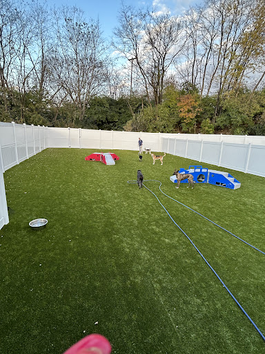 Playtime Pet Resort