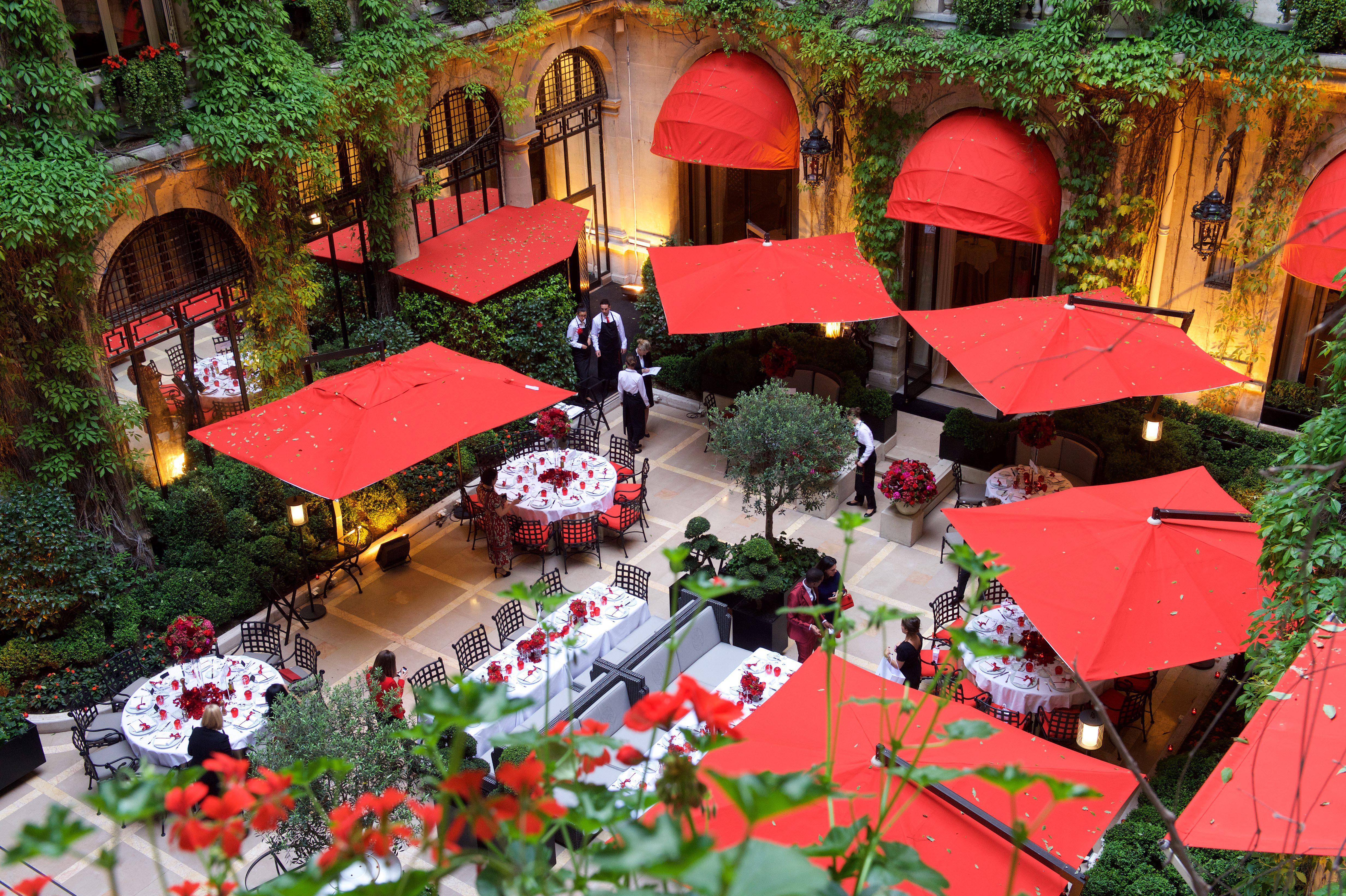 Images La Cour Jardin