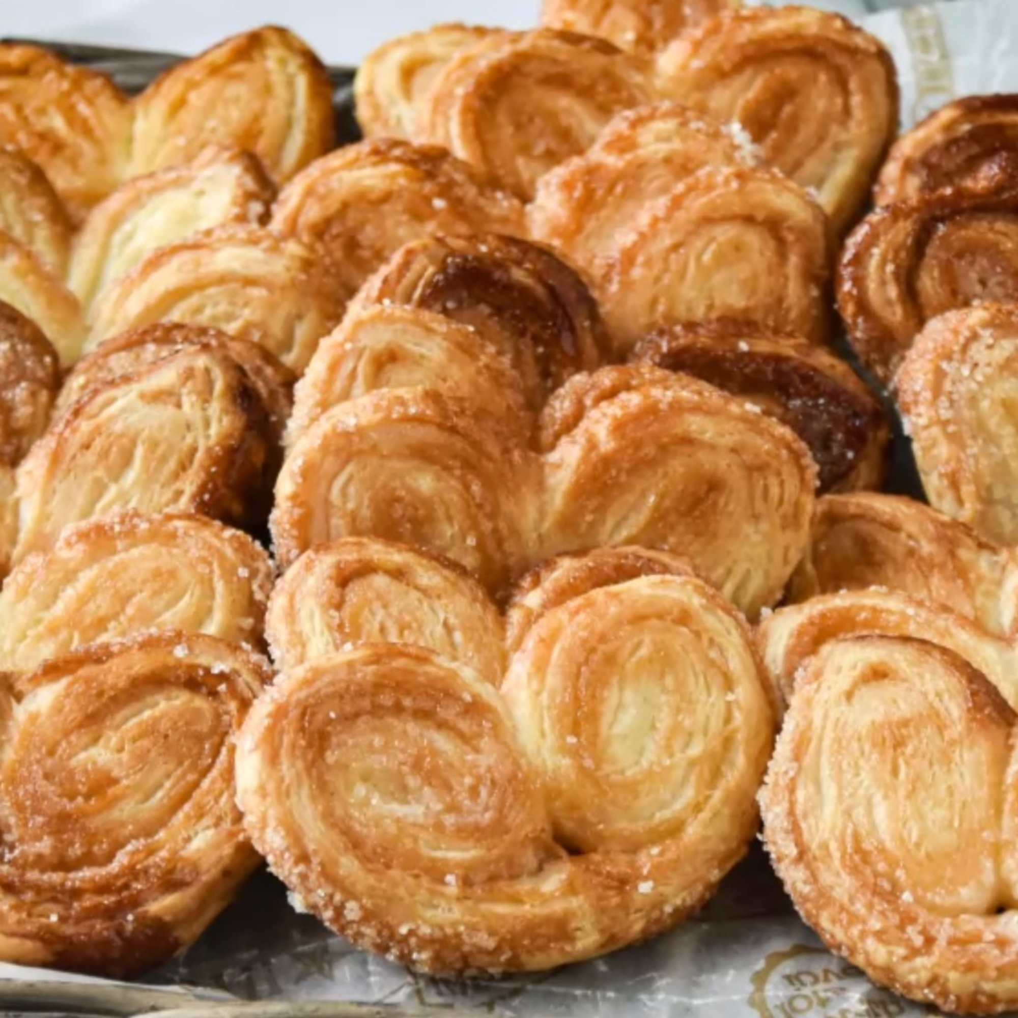 Elephant Ears (Orejas)
