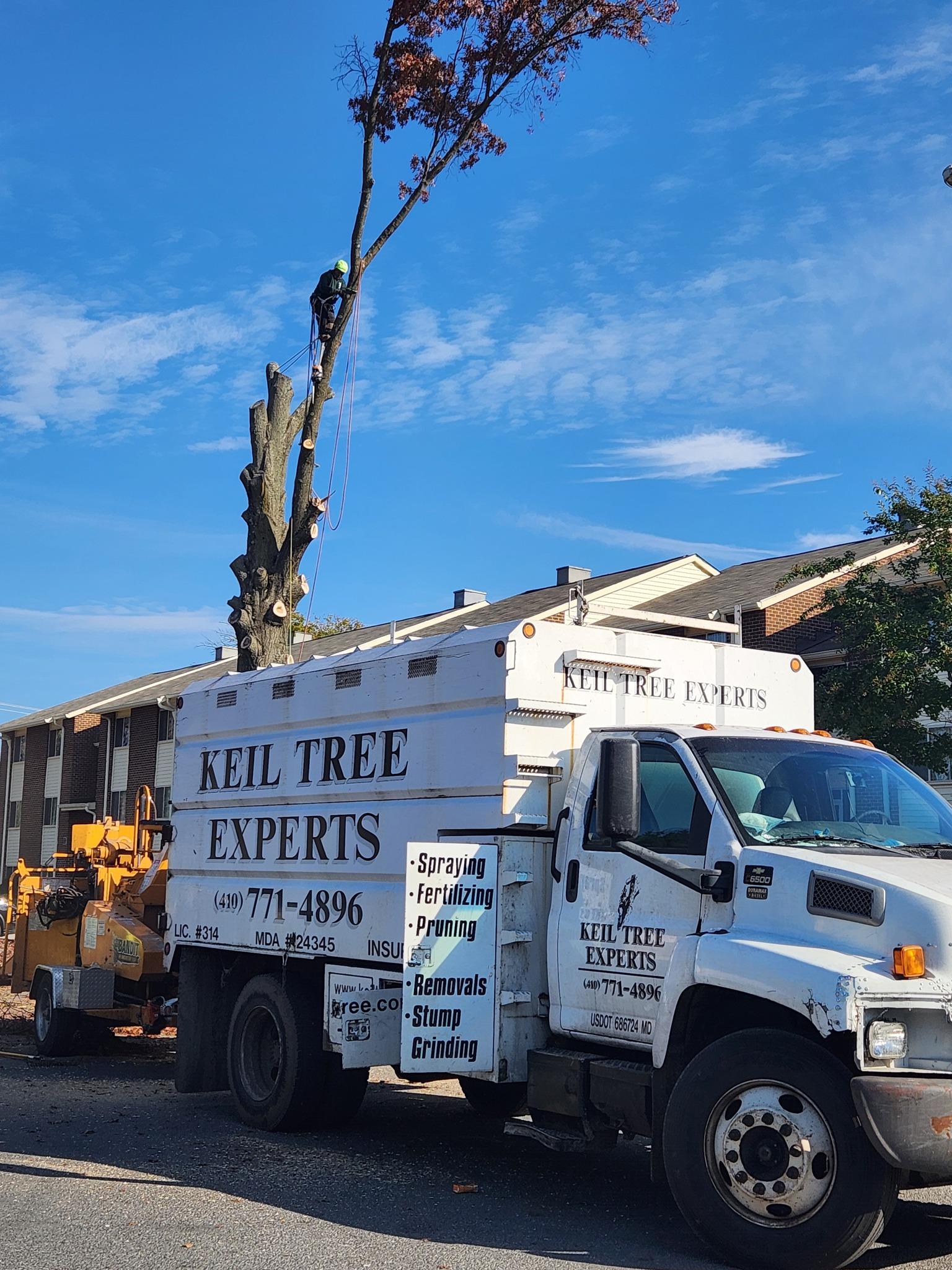 Keil Tree Experts Inc Image