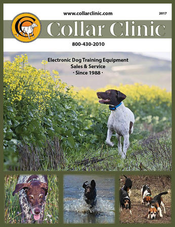 Images Collar Clinic e-Collars