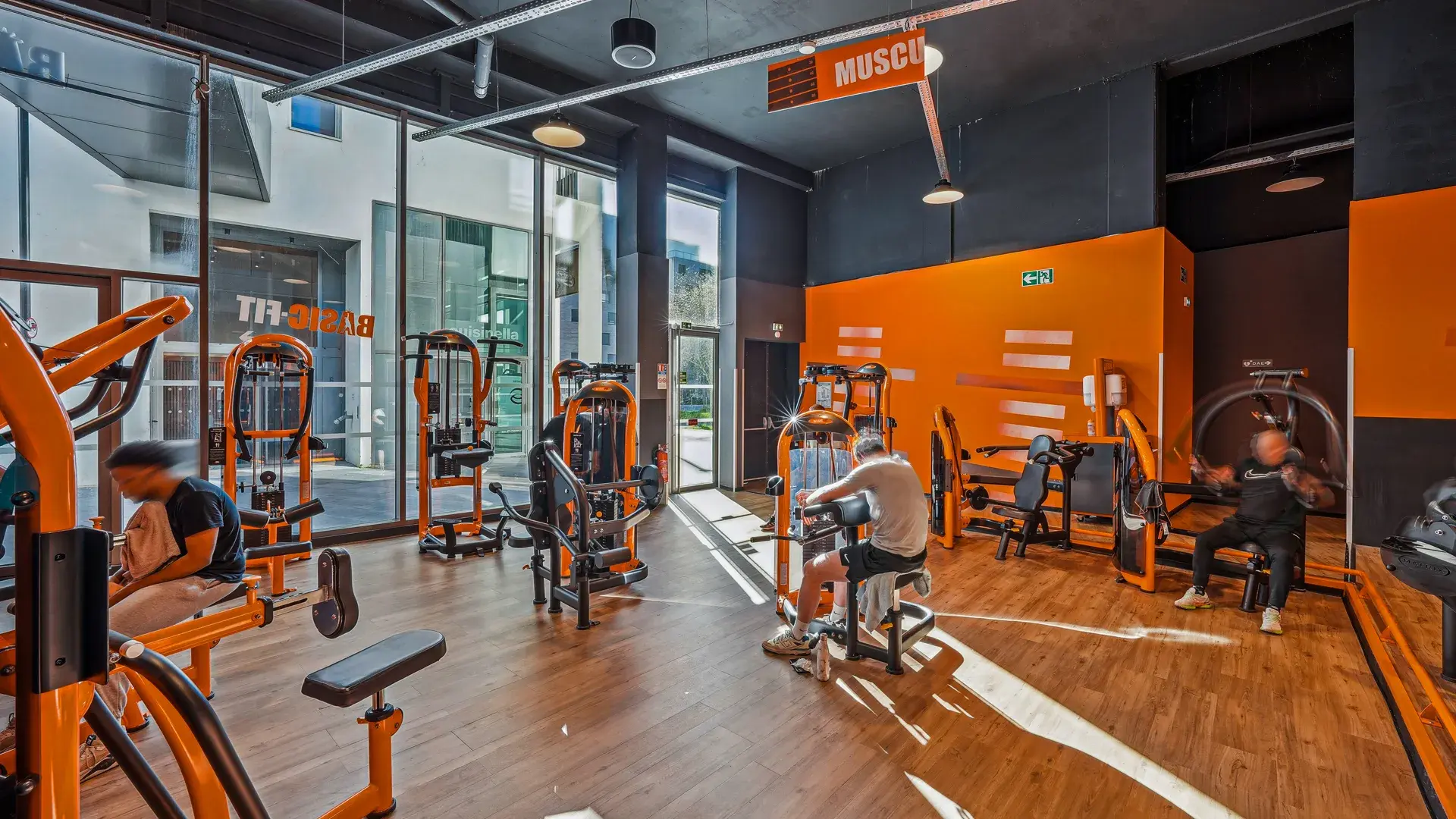 Miniature de la galerie