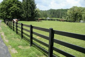 Reliable Fence Photo