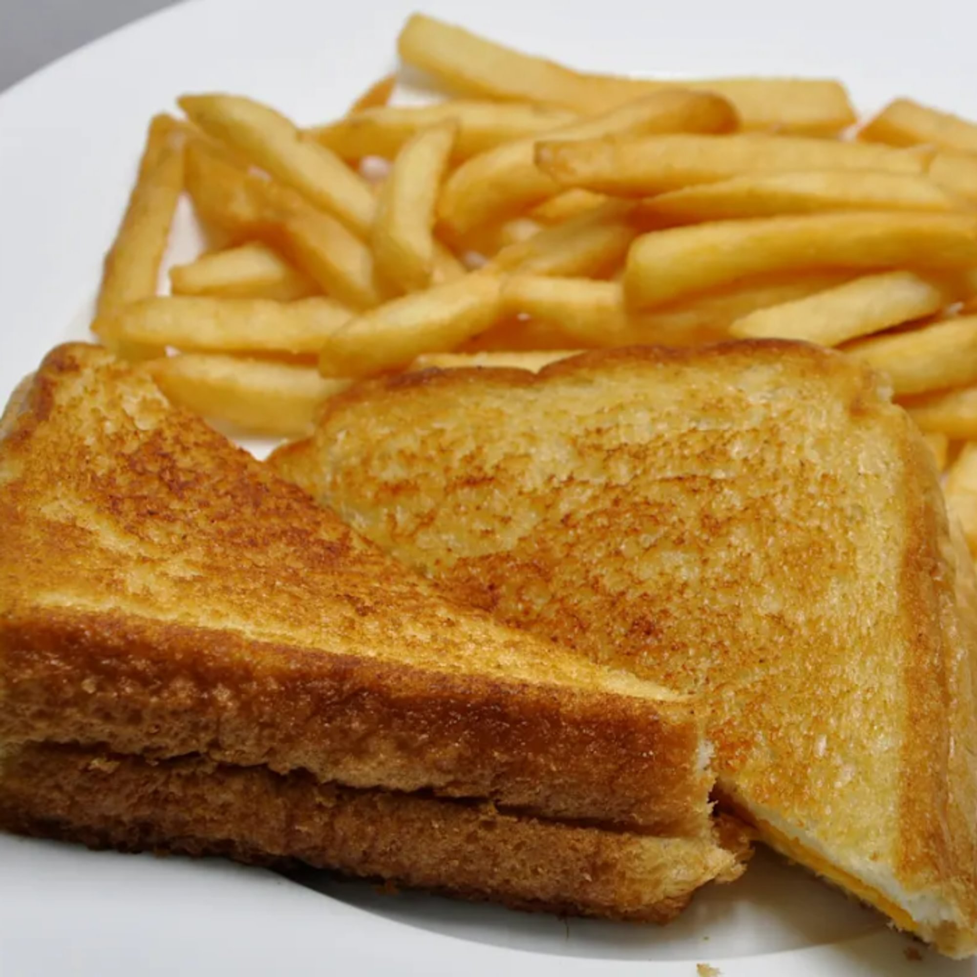 GRILLED CHEESE & FRIES