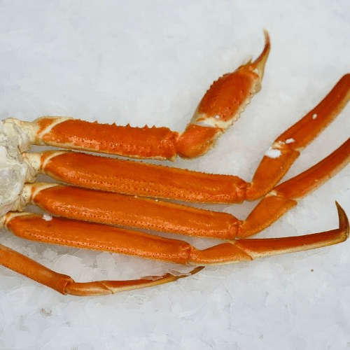 Snow Crab