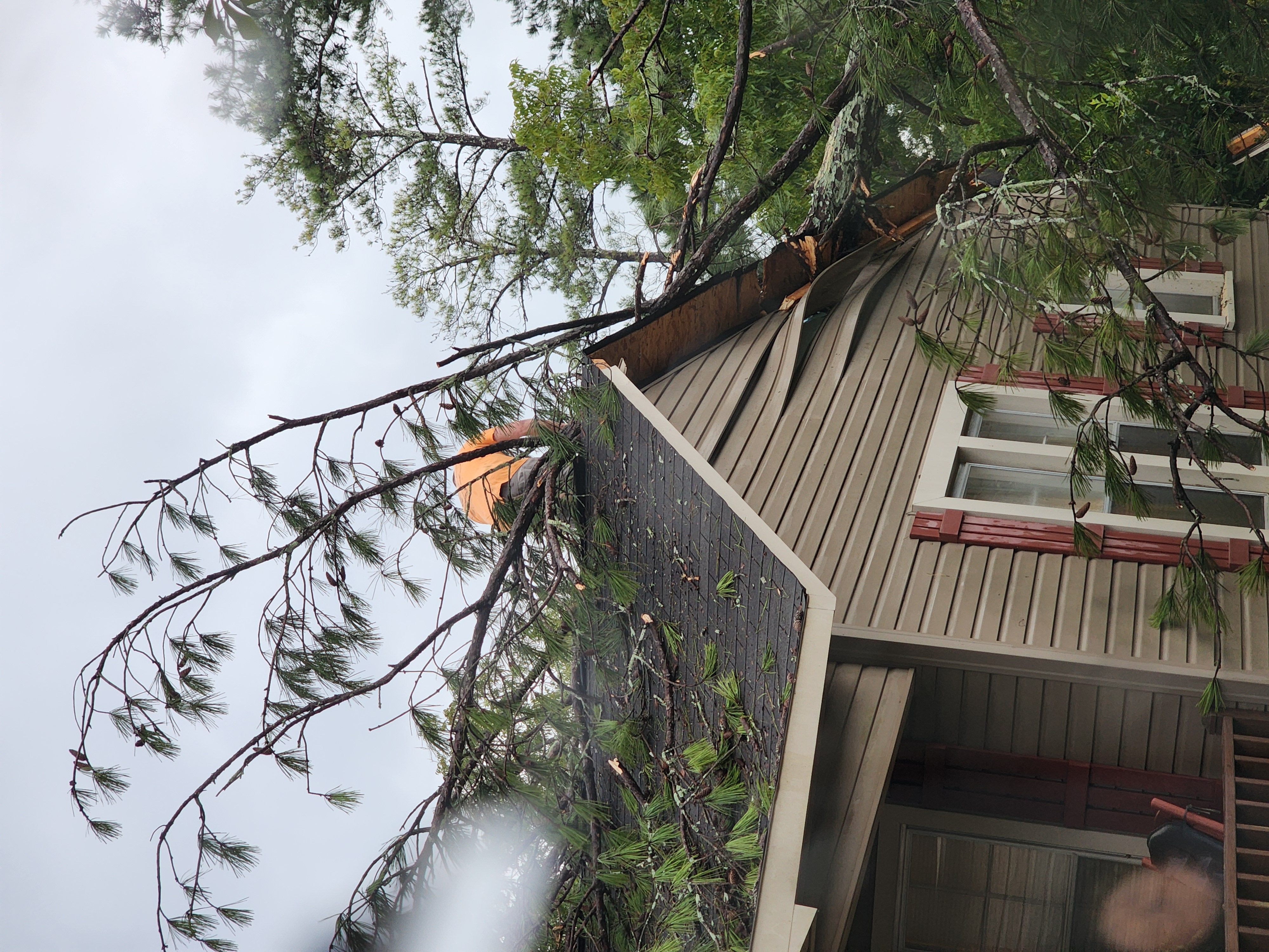 Broken Branch Tree Service LLC Image