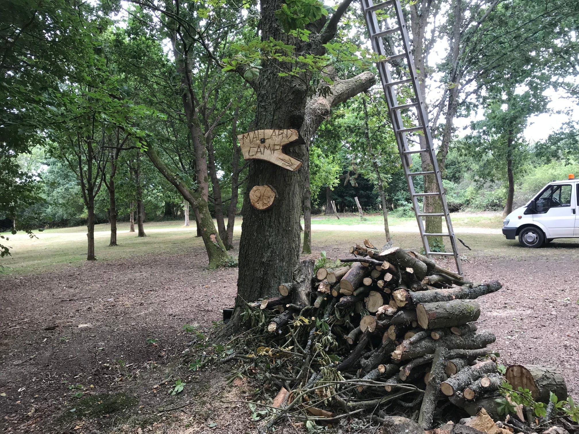 Images Tree & Garden Services