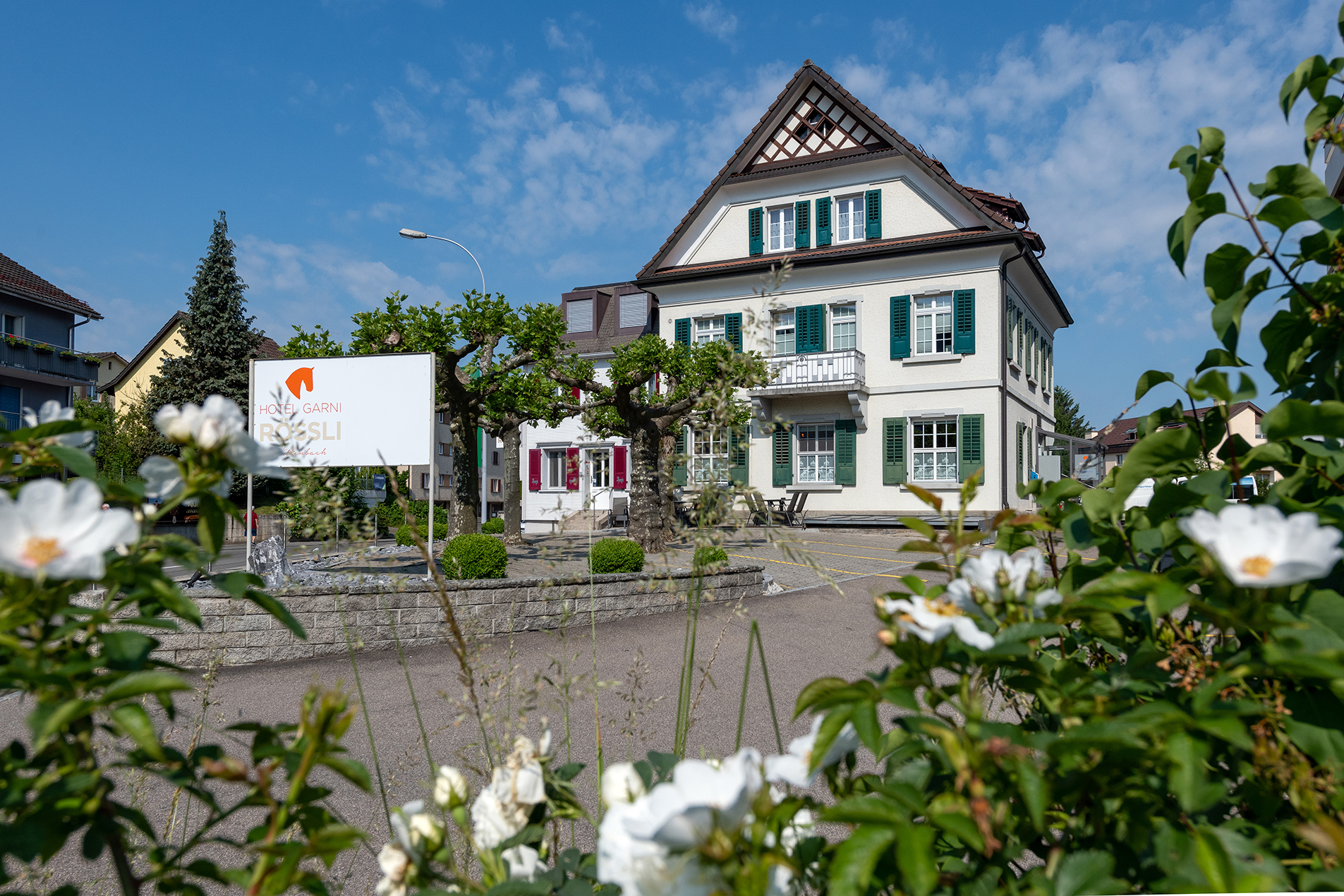 Galerie-Thumbnail