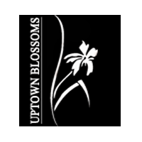 Uptown Blossoms Logo