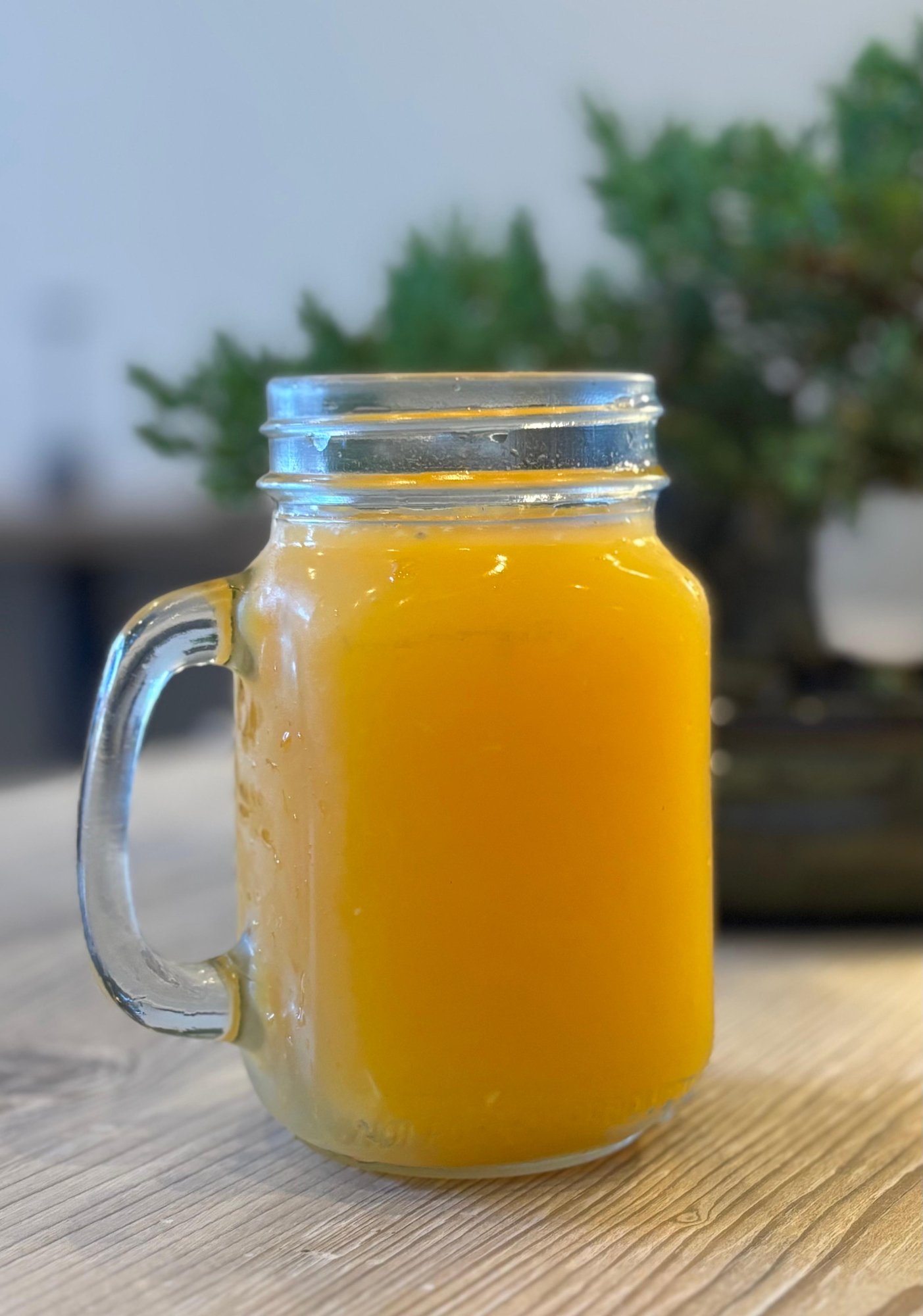 Fresh Squeezed Orange Juice