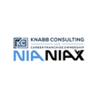 Knabb Consulting, Network in Action Memphis/Virtual