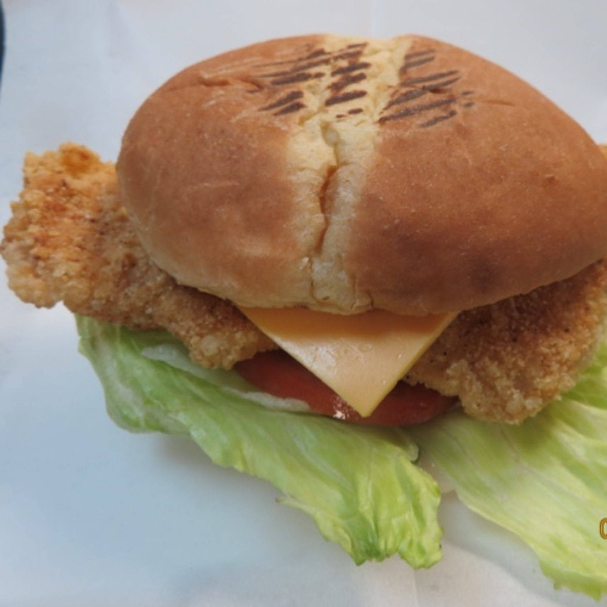 Crispy Fish Sandwich /Fries