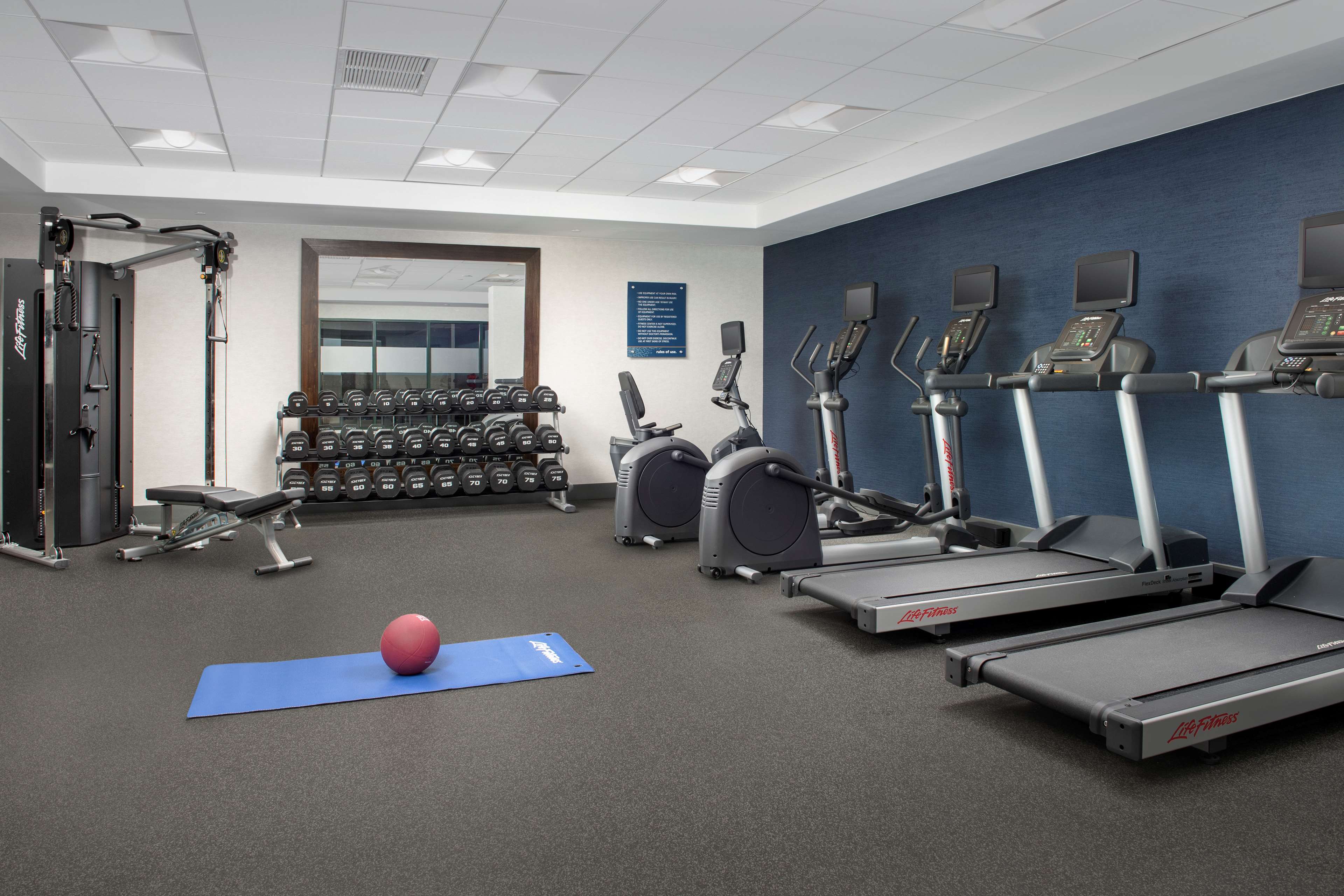 Health club  fitness center  gym