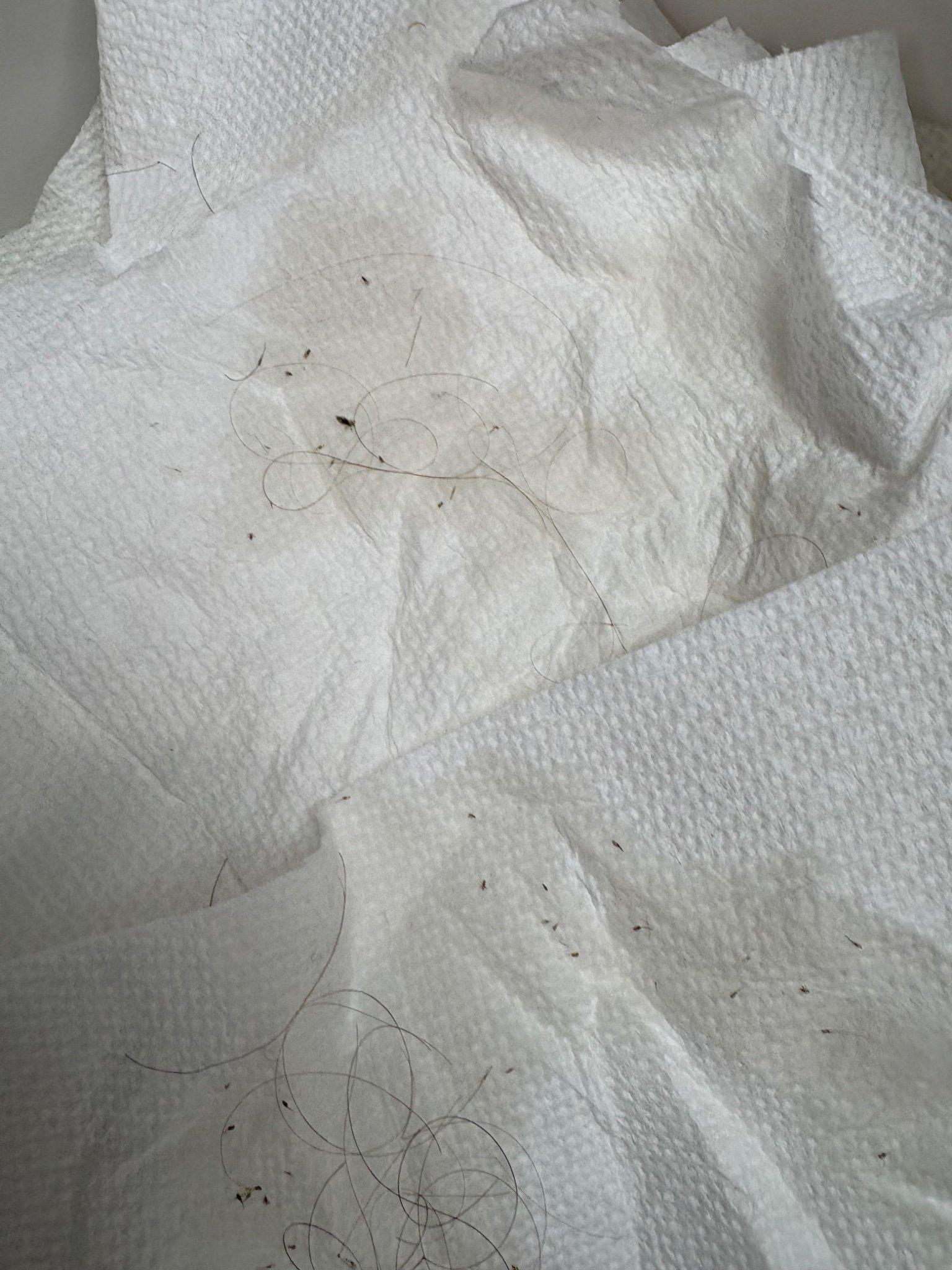Lice Lifters Of Omaha - Lice Treatment and Lice Removal