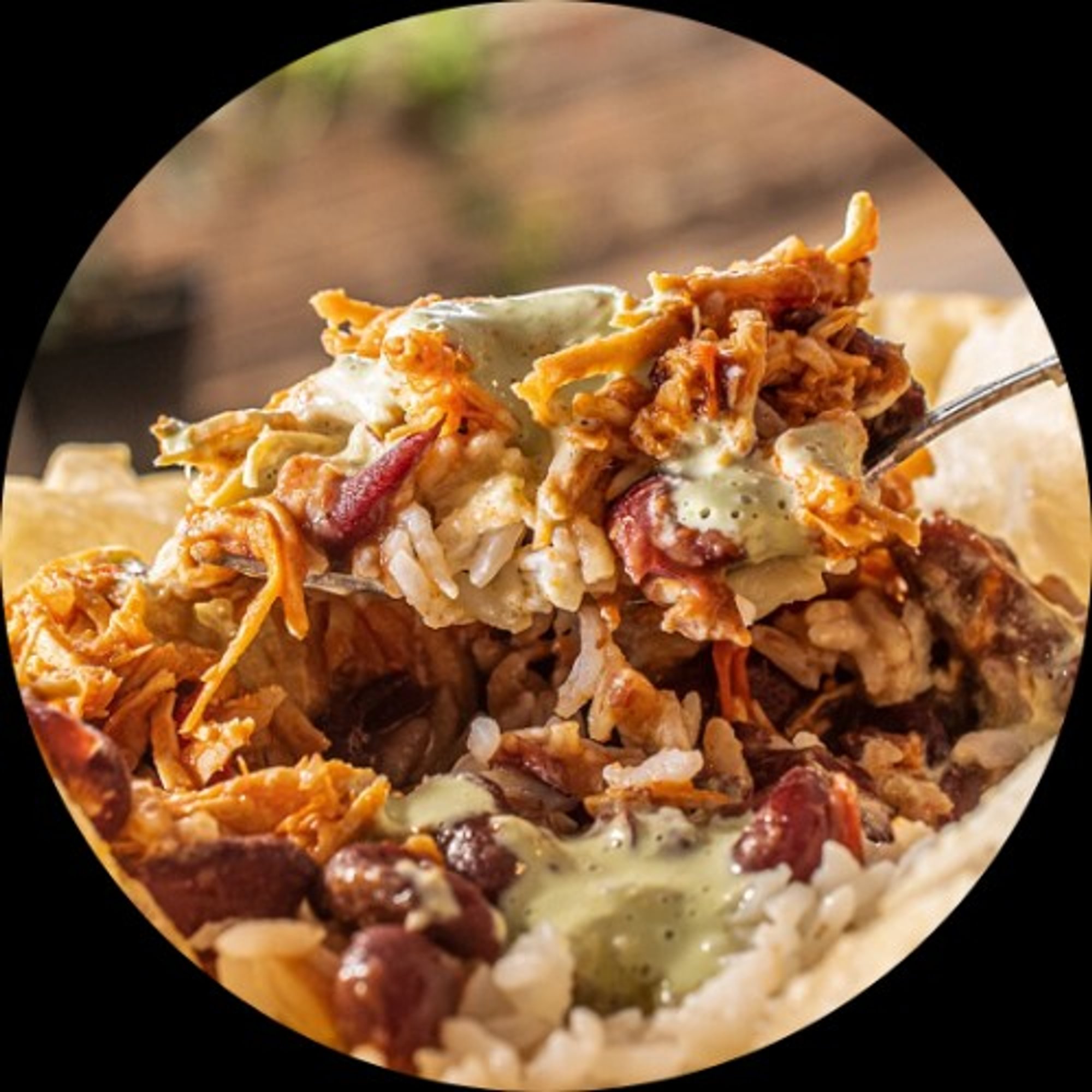 Chamo's Tortilla Bowl, Burrito, or Platter