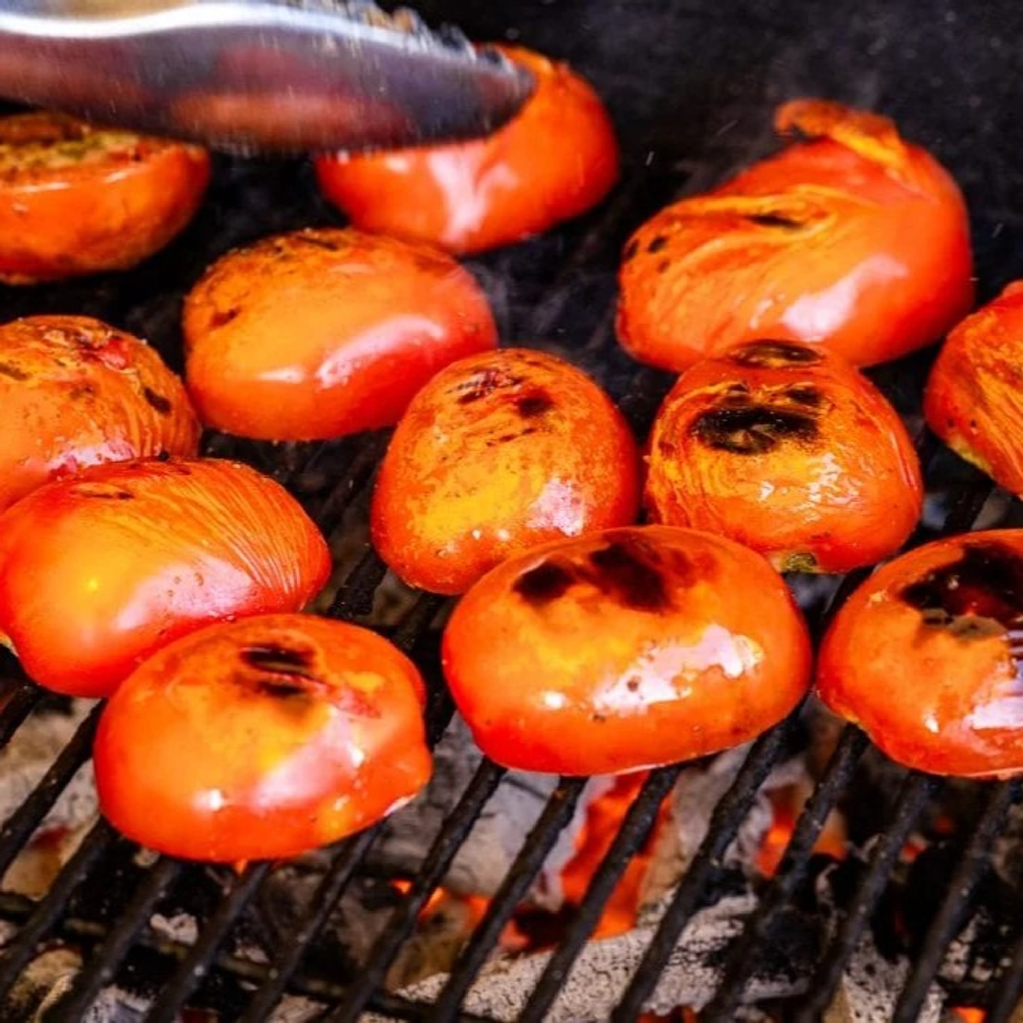 Grilled Tomato (4) skewer