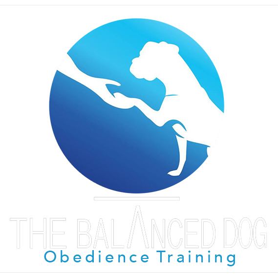 The Balanced Dog Logo