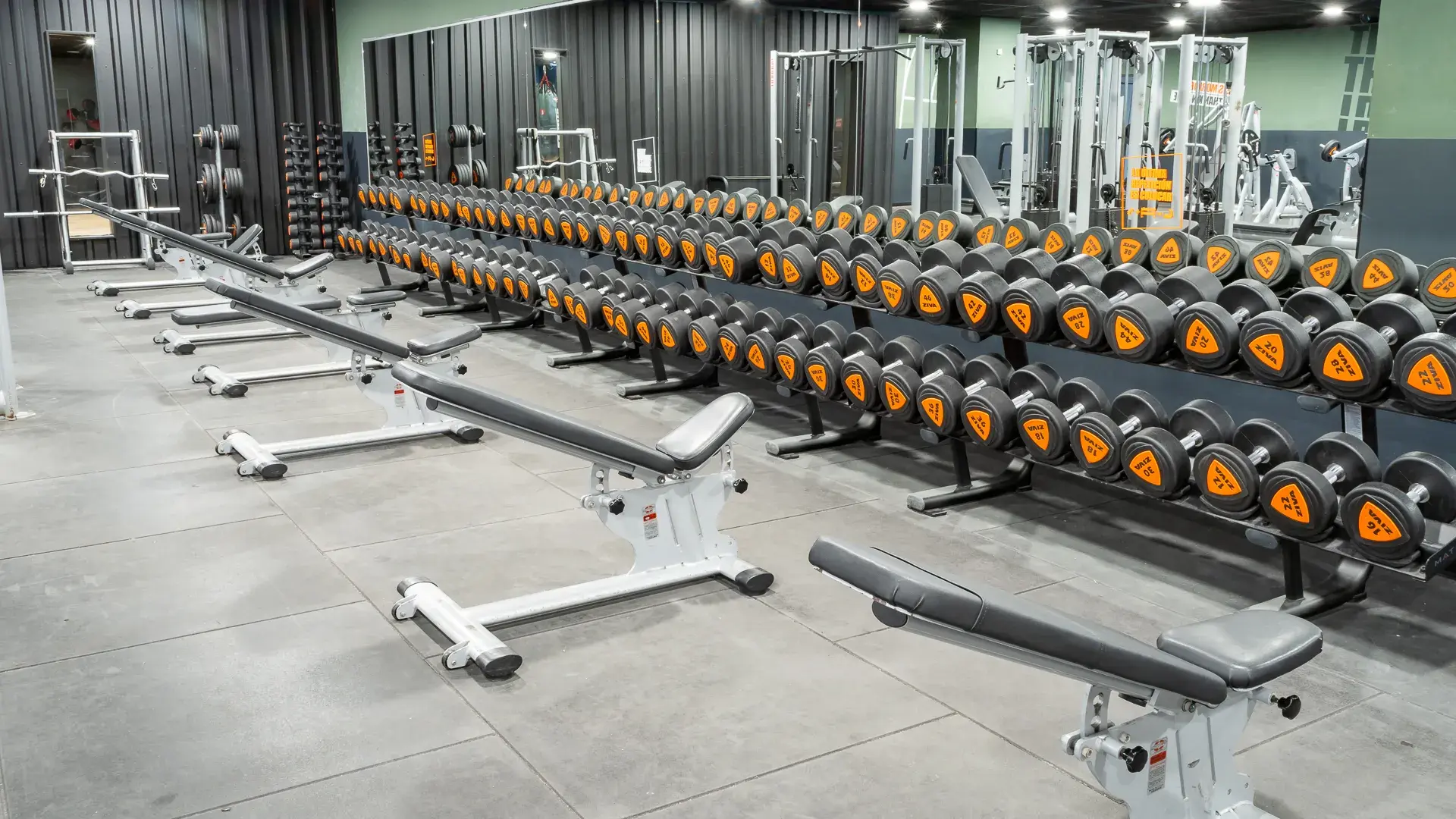 Galería de imágenes