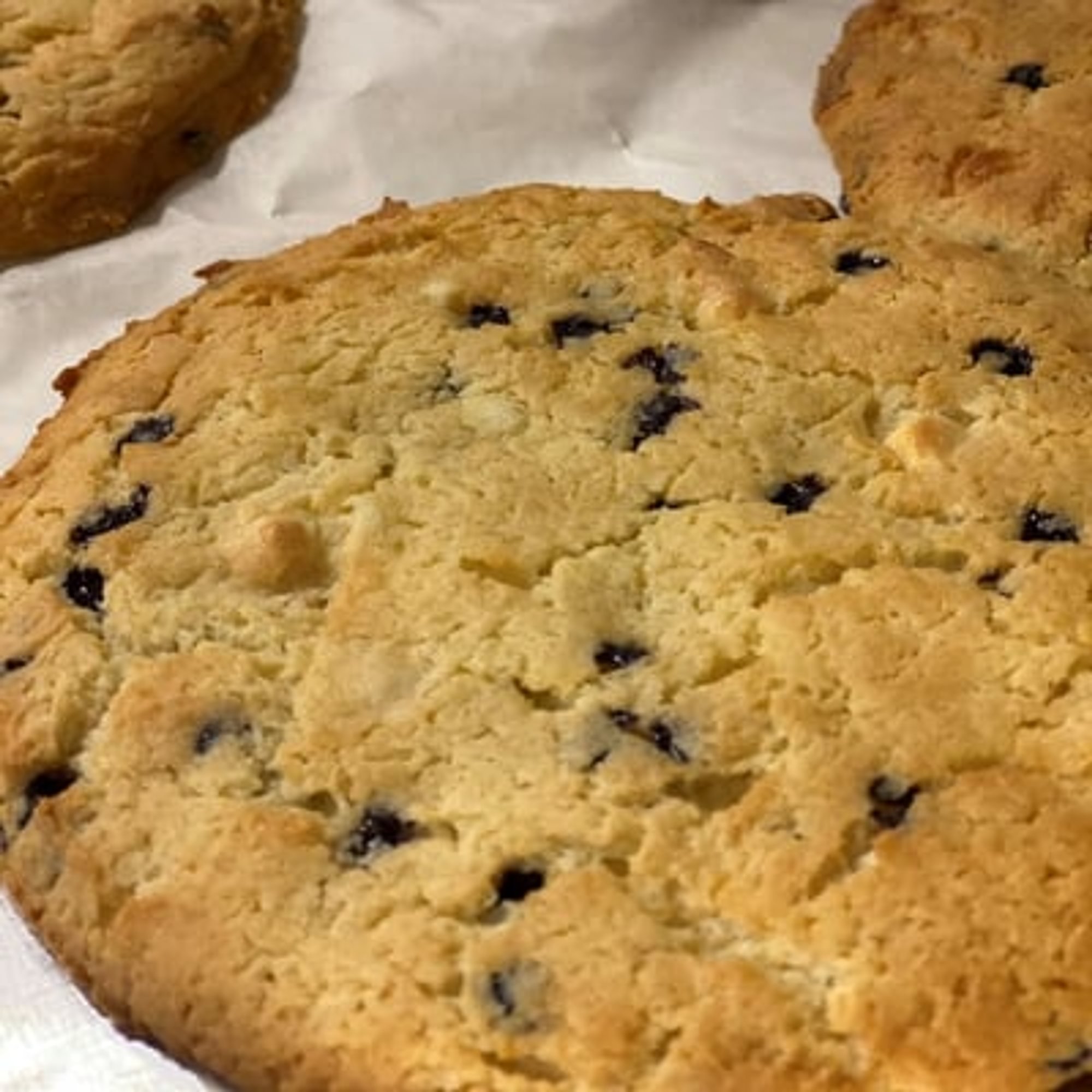 Blueberry Cheesecake Cookie