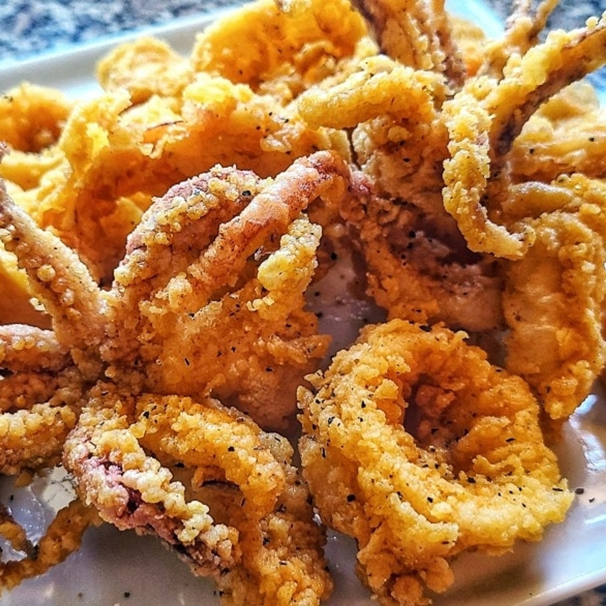 9. Calamari W. Fries