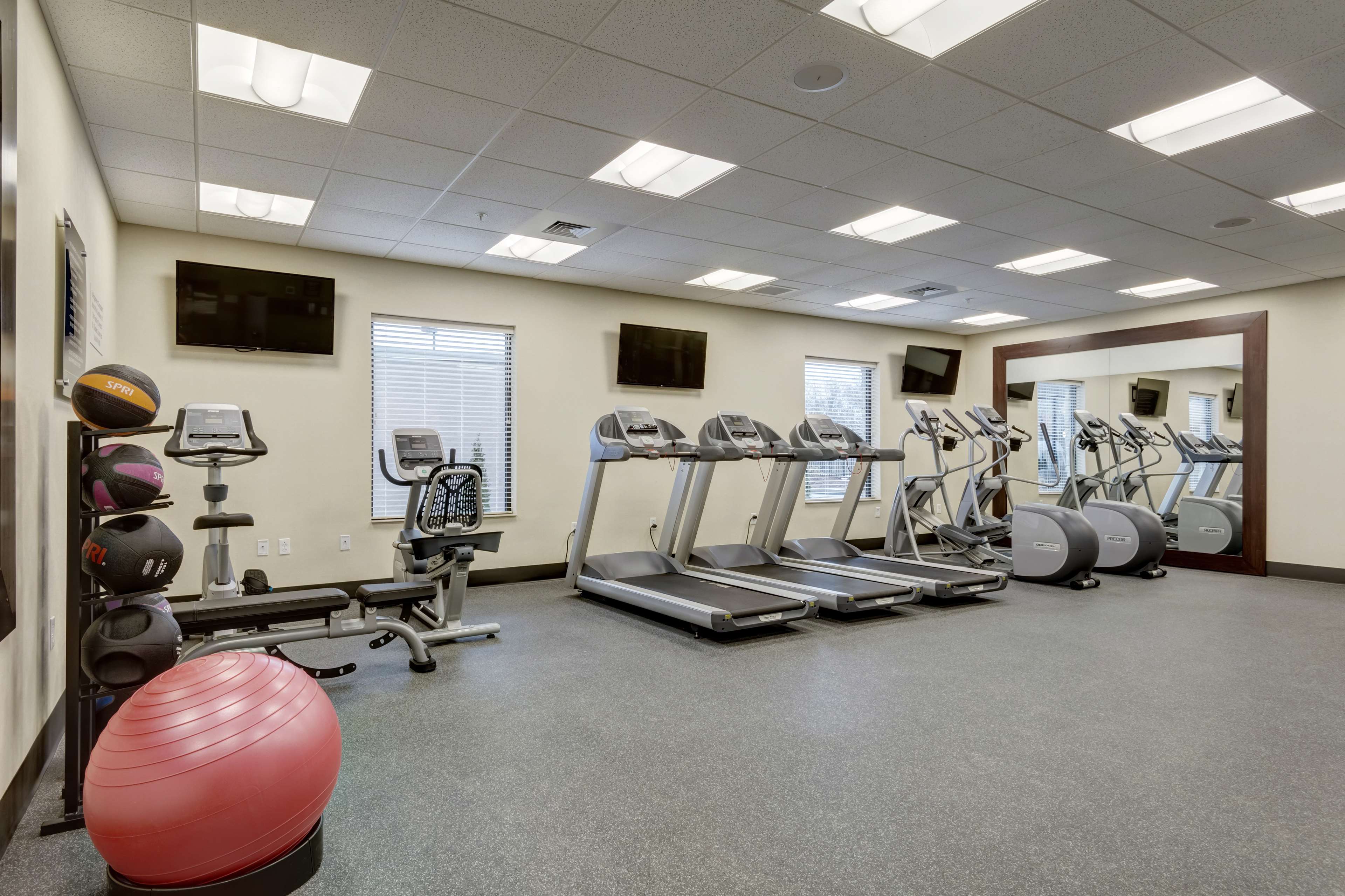 Health club  fitness center  gym