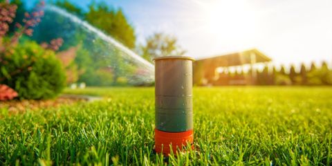 5 Irrigation System Maintenance Tips