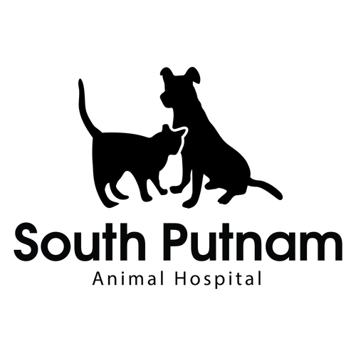 South Putnam Animal Hospital