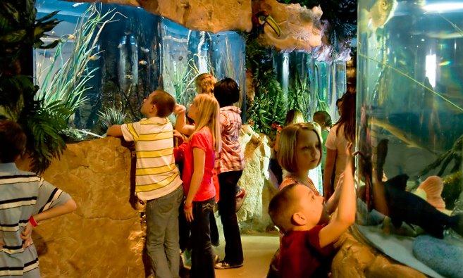 Aquarium Restaurant Photo