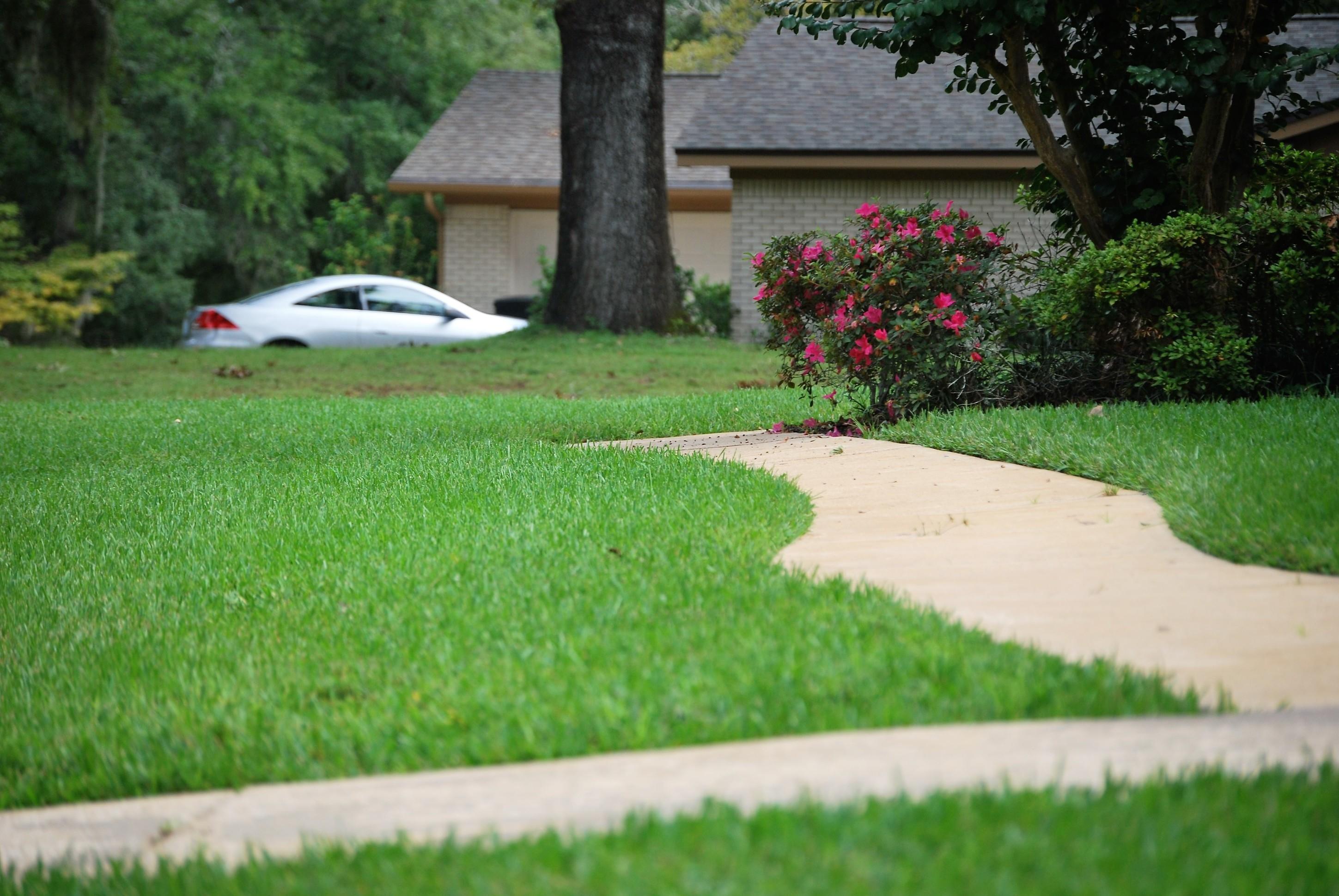 Dickerson Landscaping & Lawn Care | Tallahassee, FL Image