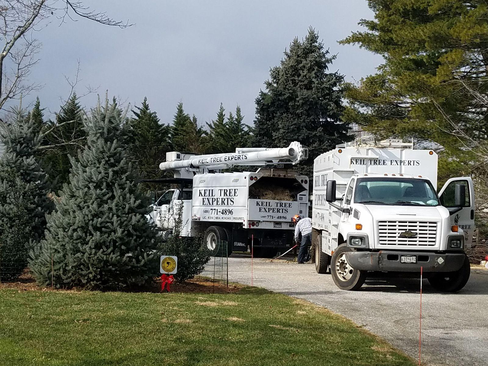 Keil Tree Experts Inc Image