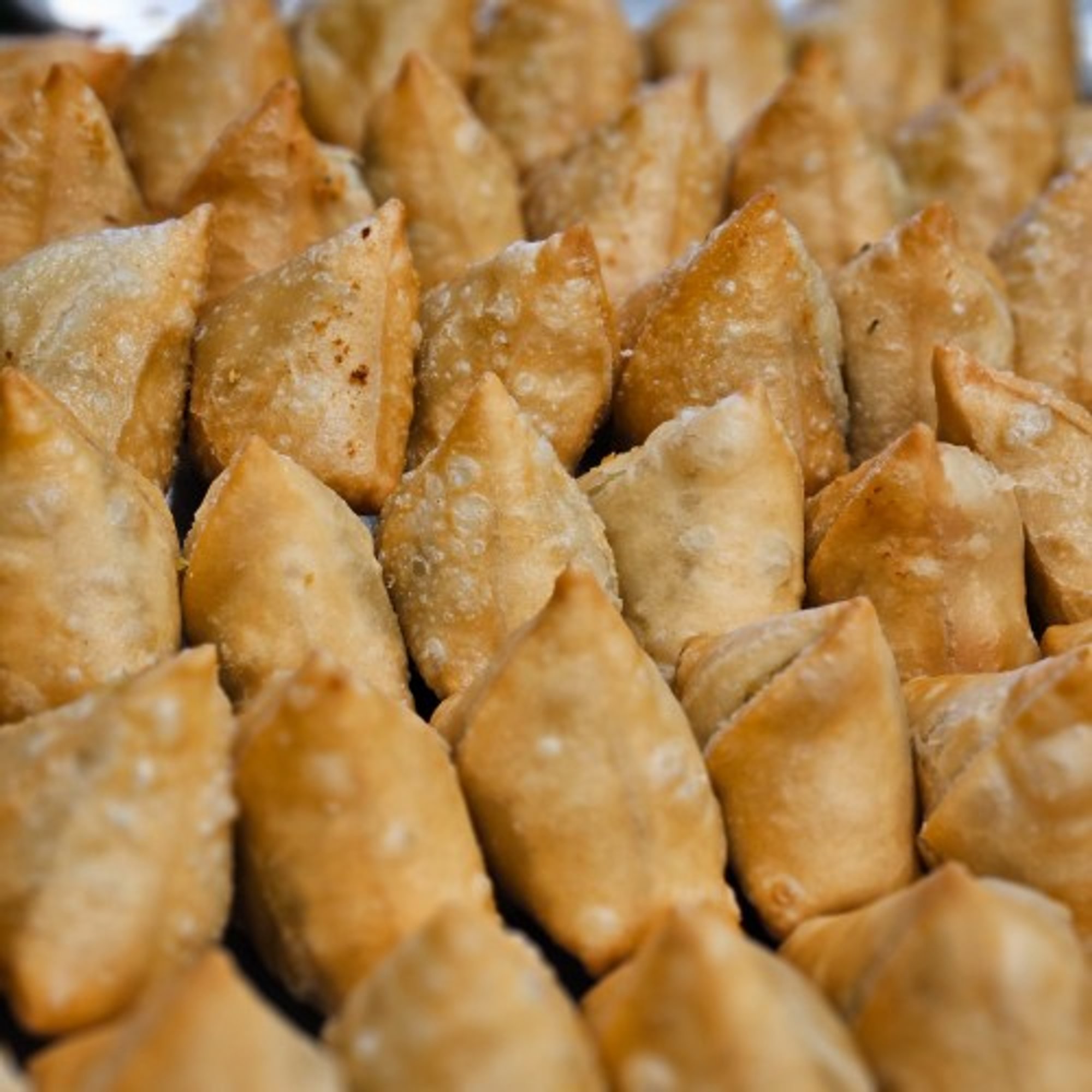 Veggie Samosa