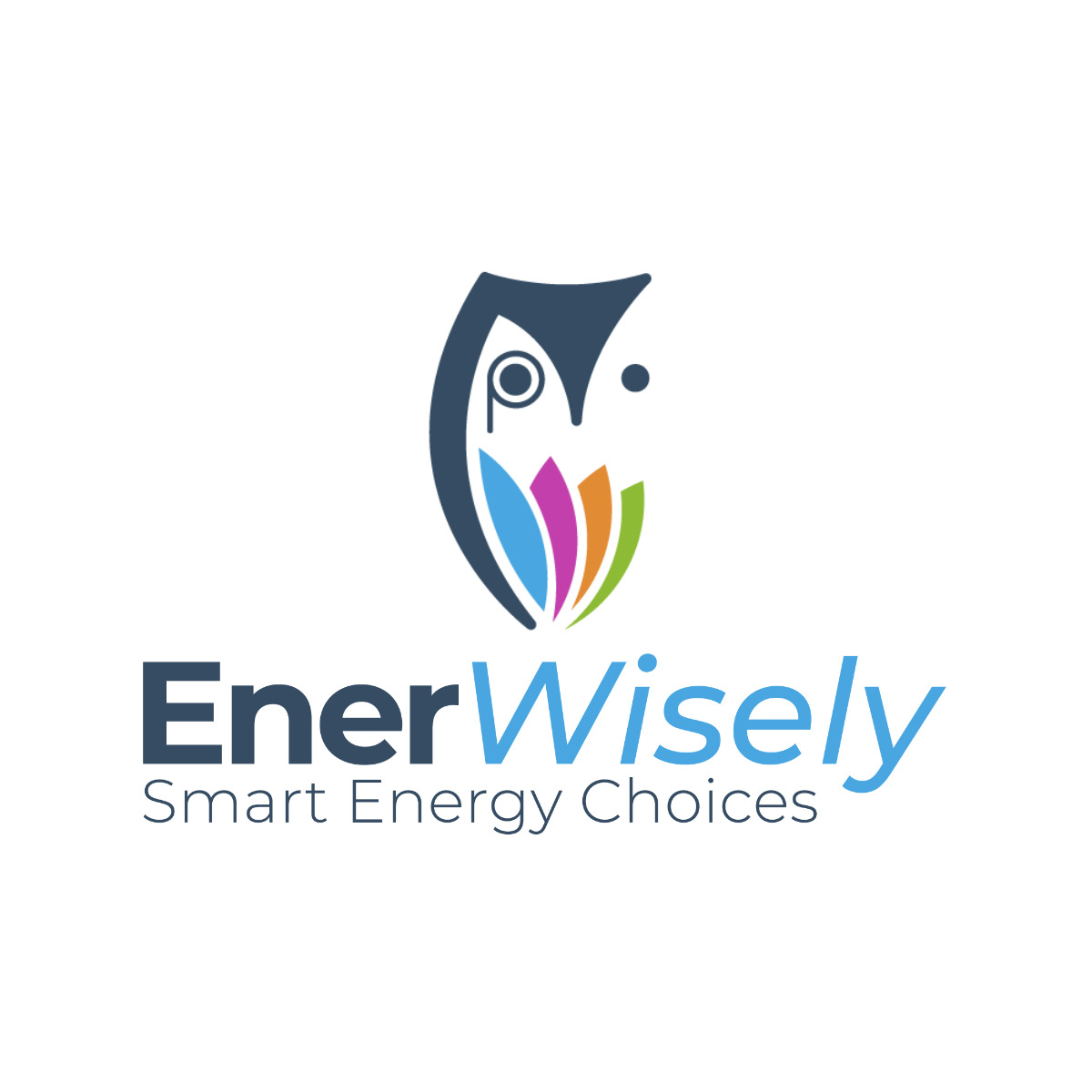 EnerWisely Photo