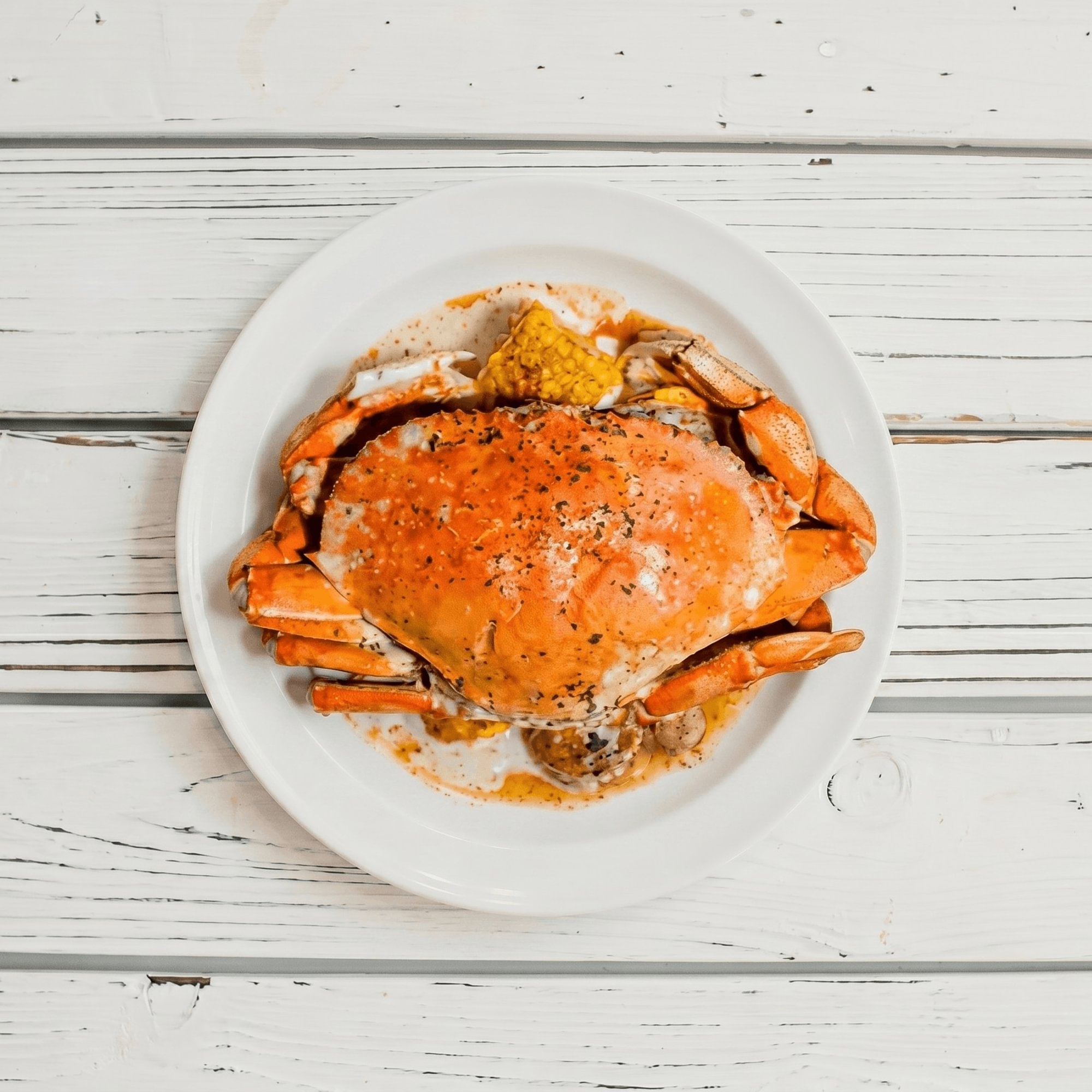Dungeness Crab